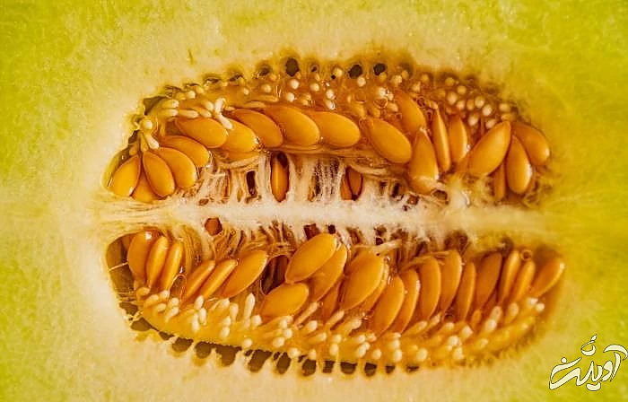 ترکیب اشتباه با شیر